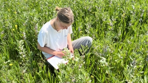 Assessing crops in the field