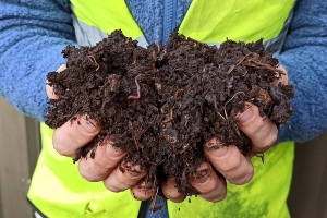 Raw compost in cupped hands with earthworm