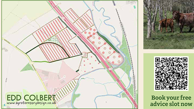 Agroforestry design image and QR code