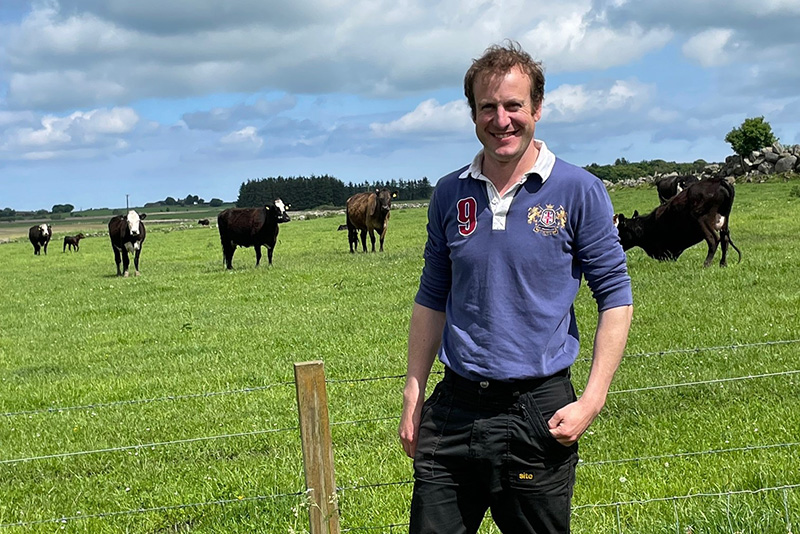 Chris Gospel standing in a field of cows