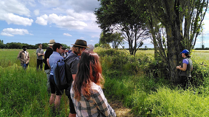People looking at a hedgerow
