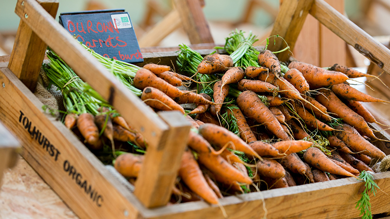 Carrots in a crate