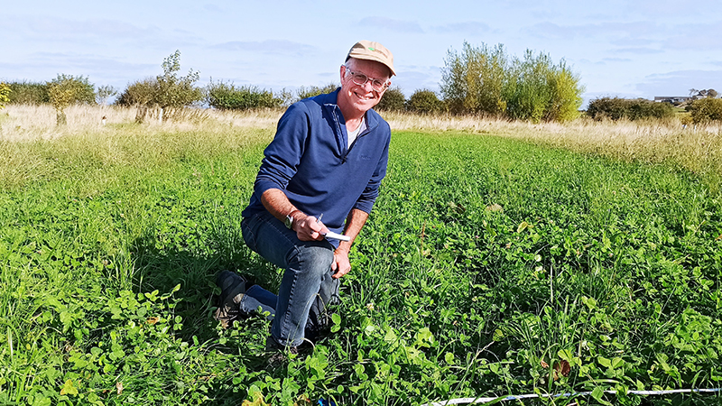 Will Simonson making assessments in the field