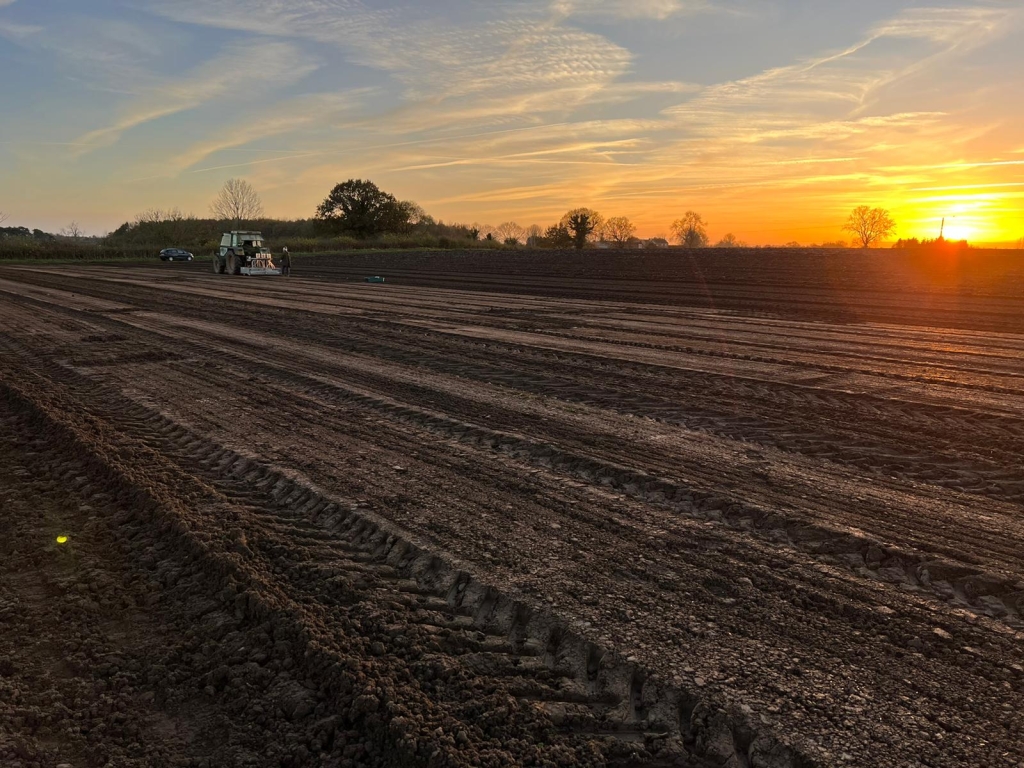 Sunset over trial field being drilled