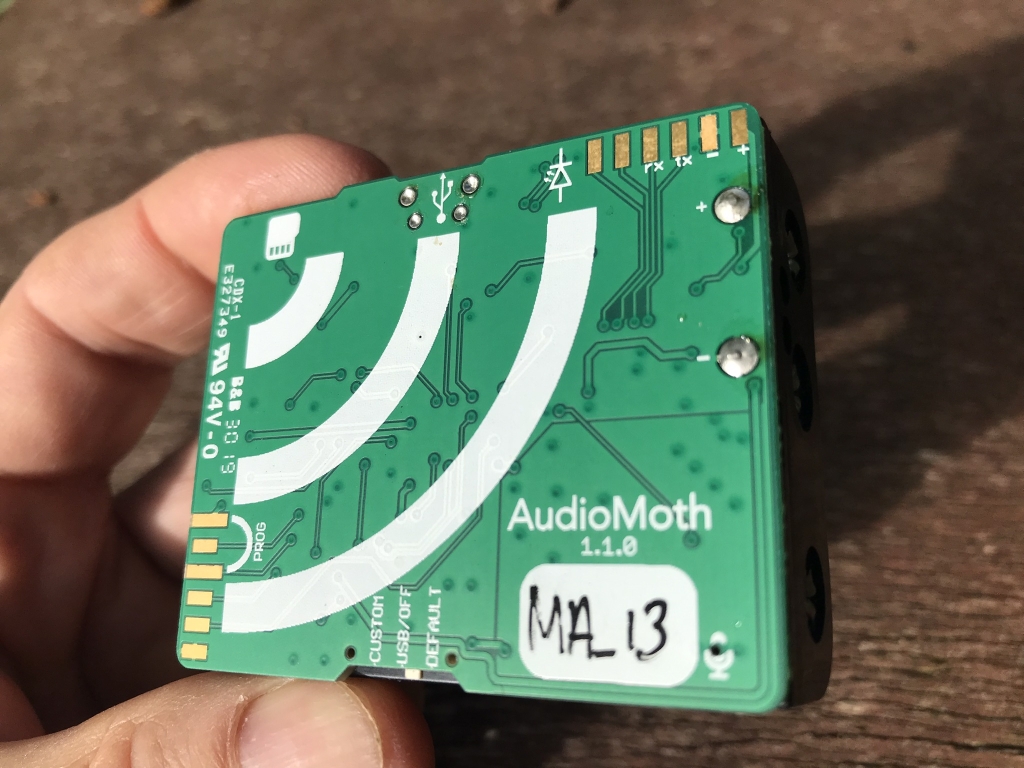 Audiomoth device