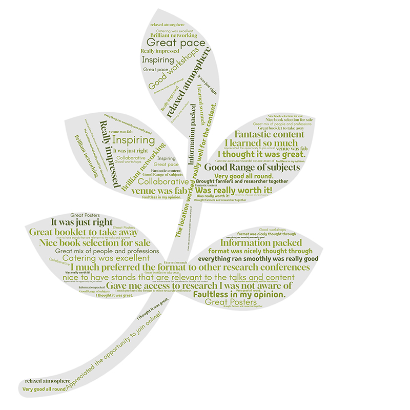 Word cloud of feedback from the Cultivating Wisdom workshop in shape of a leaf