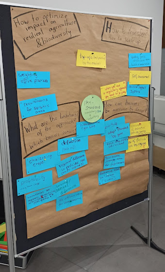 Board with notes pinned from workshop session