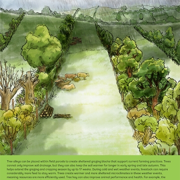 Cover of alley planting guide with trees in rows and crops in between