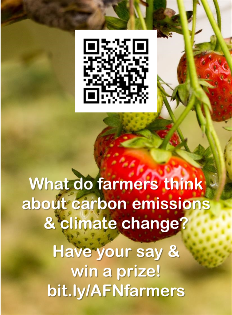 Strawberries with QR code for survey