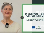 Re-Livestock – Animal Welfare Interview with Lindsay Whistance