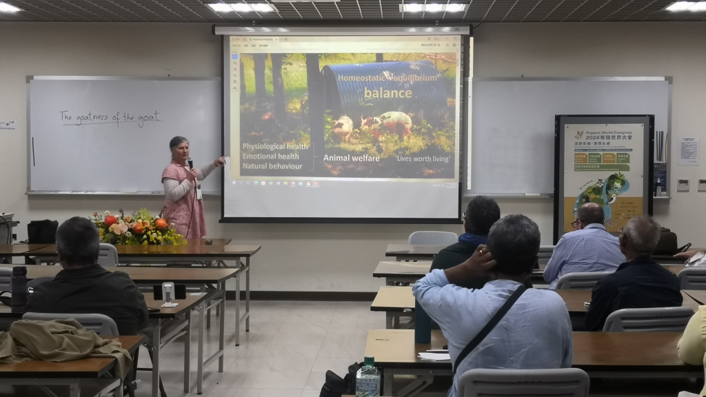 Lindsay delivering a presentation