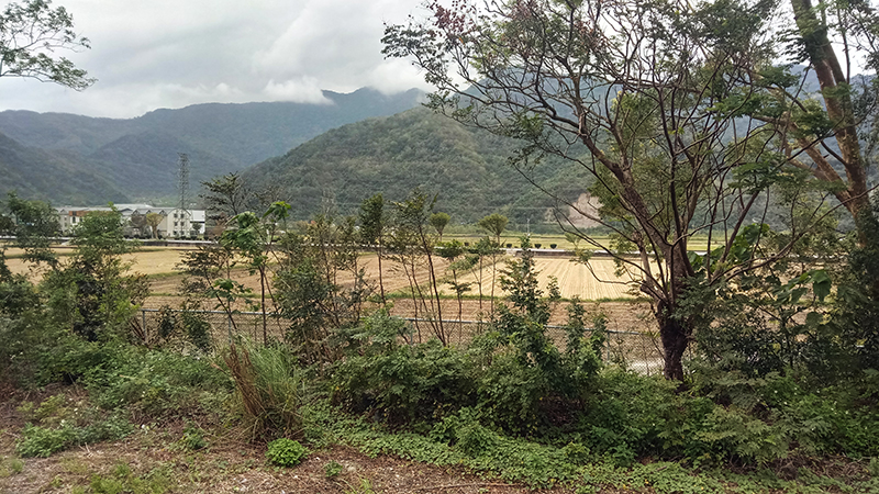 Landscape with rice fields in valley and wooded hills behind