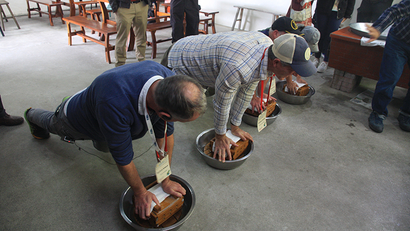 Adults learning how to press tofu