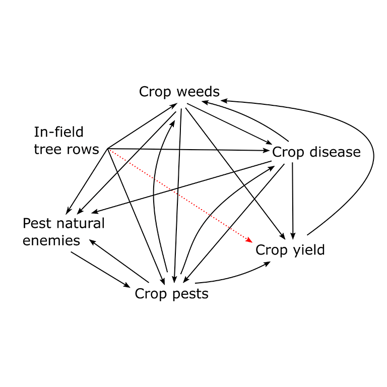 AgroBox: an Agroecosystem Dynamics Sandbox