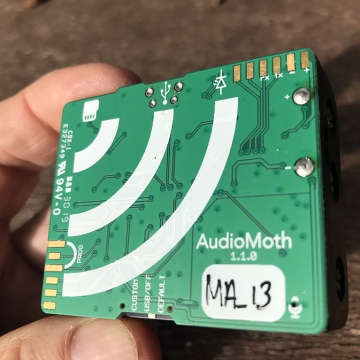 Photo of audiomoth - a small electronic device that records bat sounds